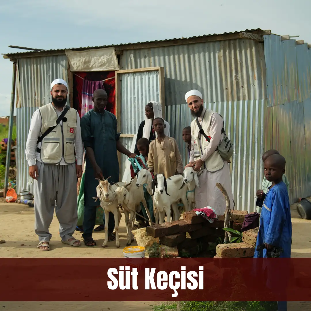 SÜT KEÇİSİ