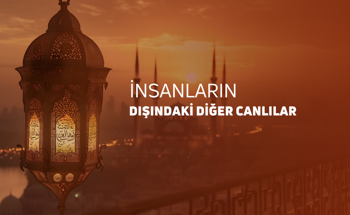 İNSANLARIN DIŞINDAKİ DİĞER CANLILAR