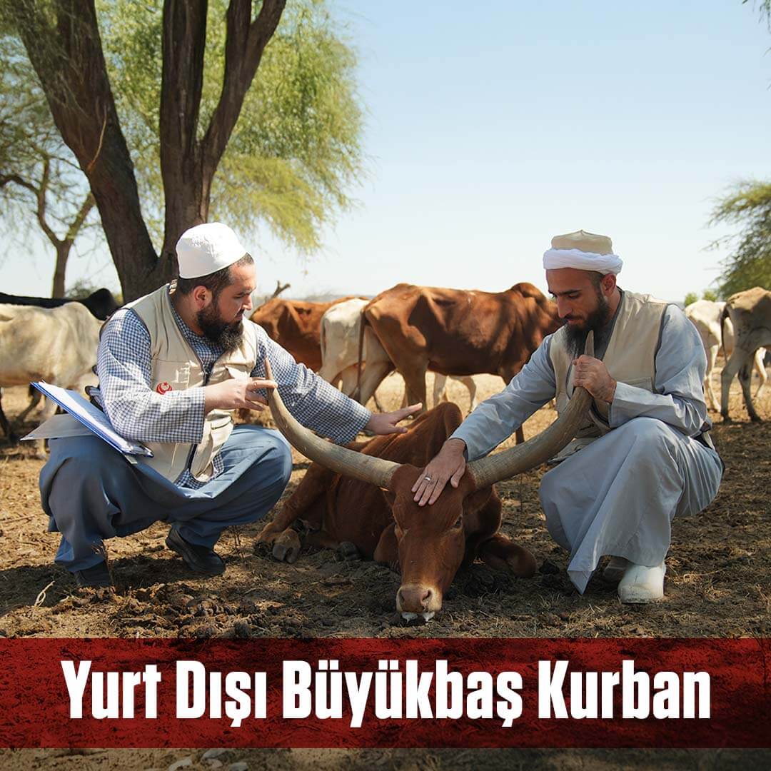 YURT DIŞI BÜYÜKBAŞ KURBAN