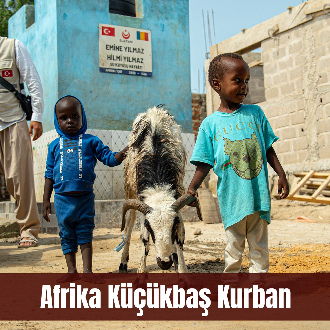 YURT DIŞI KÜÇÜKBAŞ KURBAN