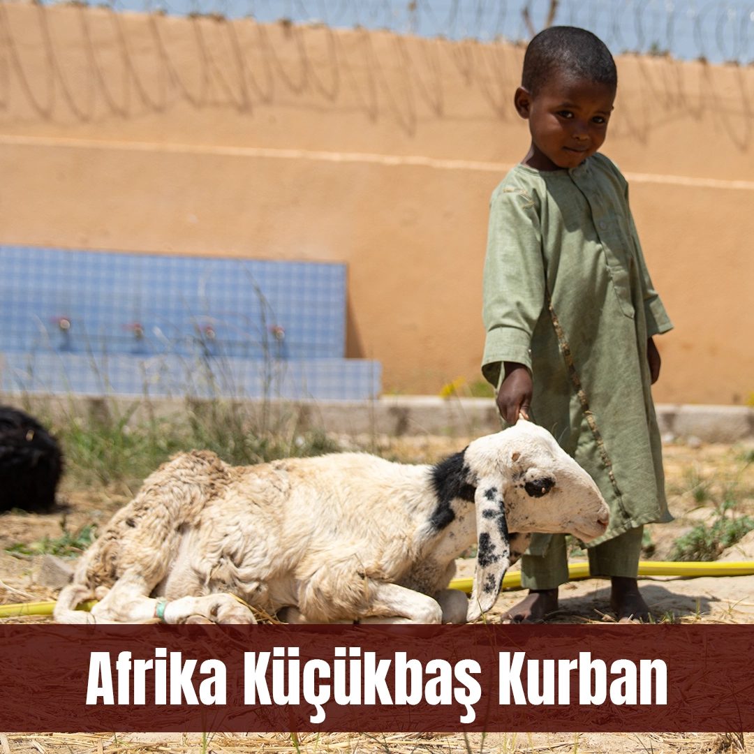YURT DIŞI KÜÇÜKBAŞ KURBAN